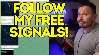 How To Follow My Free Signals On Telegram